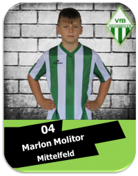 Marlon Molitor.png